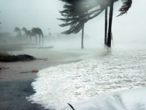 Business Relationships Amidst Natural Disasters